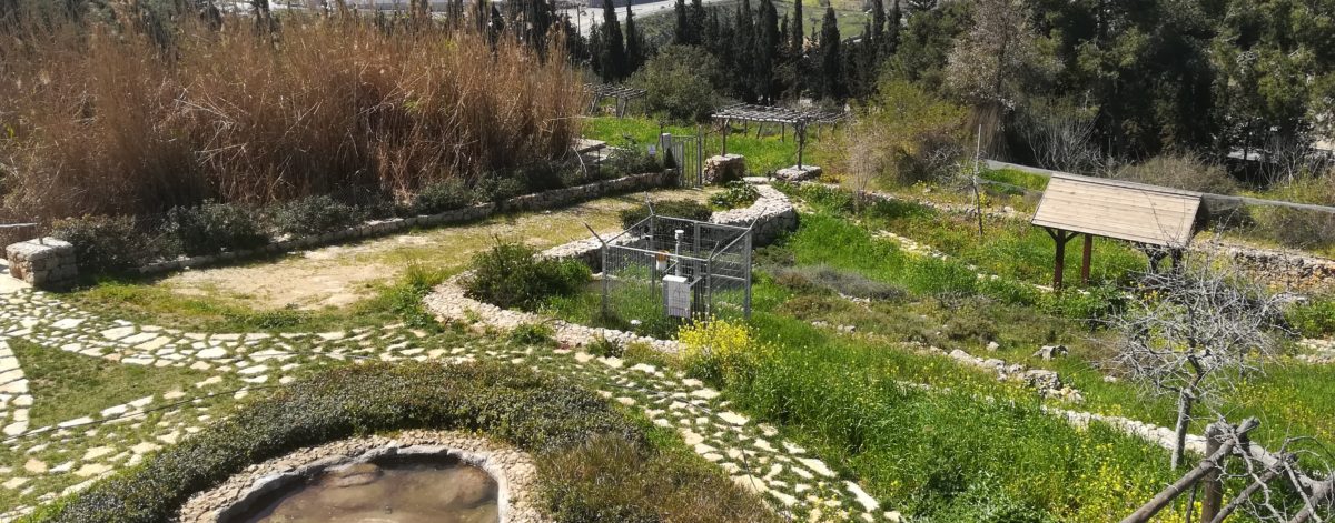 Freitag, 8.3. 11:00 Environment Education Center (EEC) und Bericht von Kamal Mukarker